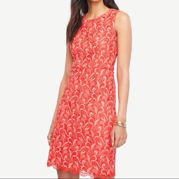 Ann Taylor Petite Two Tone Lace Sheath Dress - Picture 2 of 12